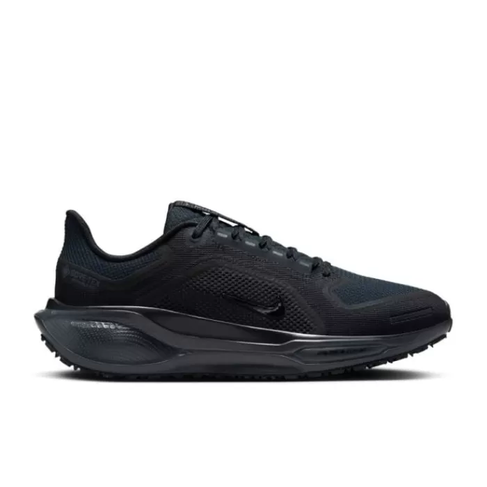 Pegasus 41 Gore-Tex-Nike New