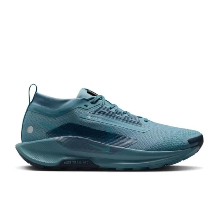 Pegasus Trail 5 Gore-Tex-Nike Online