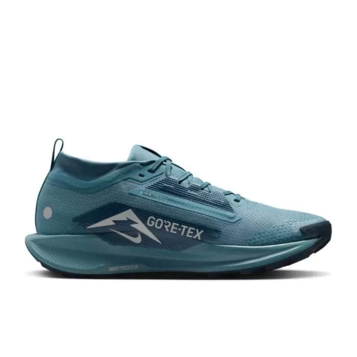 Pegasus Trail 5 Gore-Tex-Nike Online