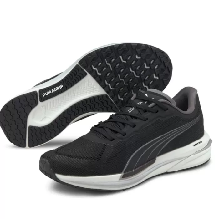 Velocity Nitro-Puma Cheap