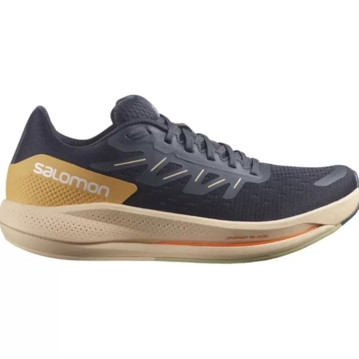 Spectur-Salomon Discount