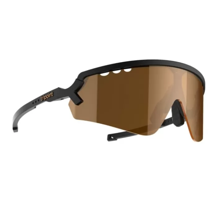 Chobe Sunglasses-Tripoint Best